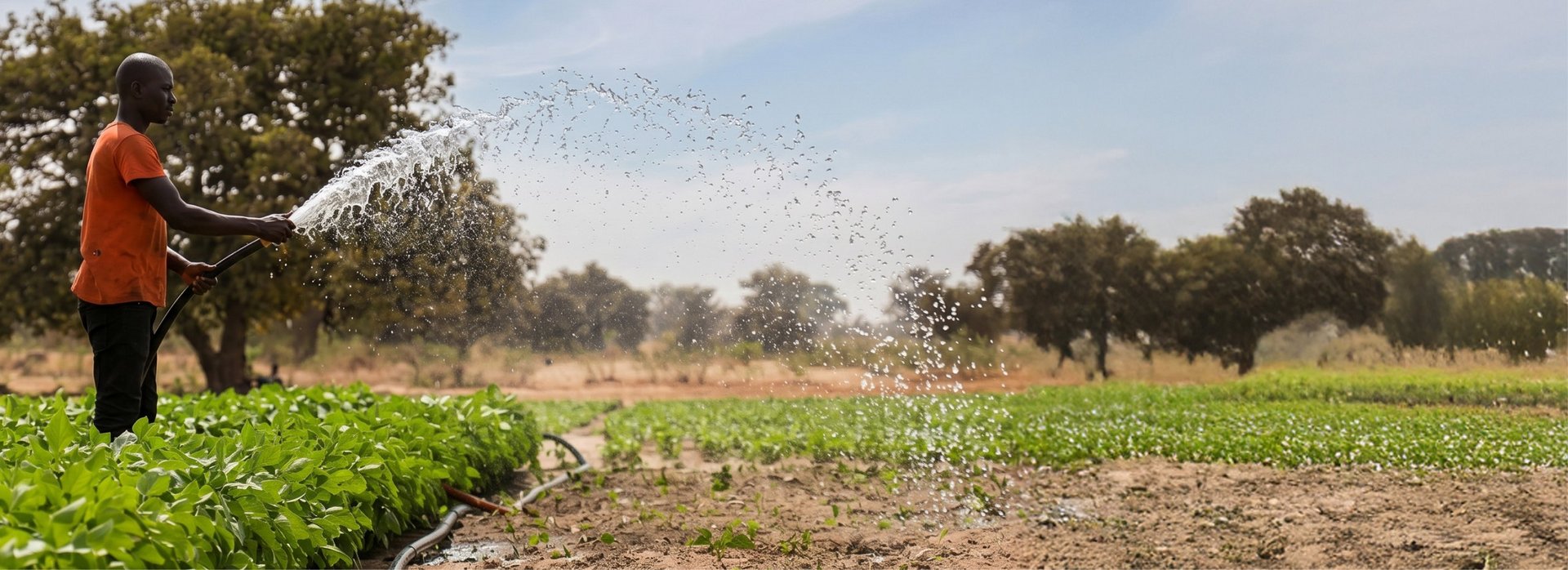 Ein afrikanischer Farmer beim Wässern von Feldern