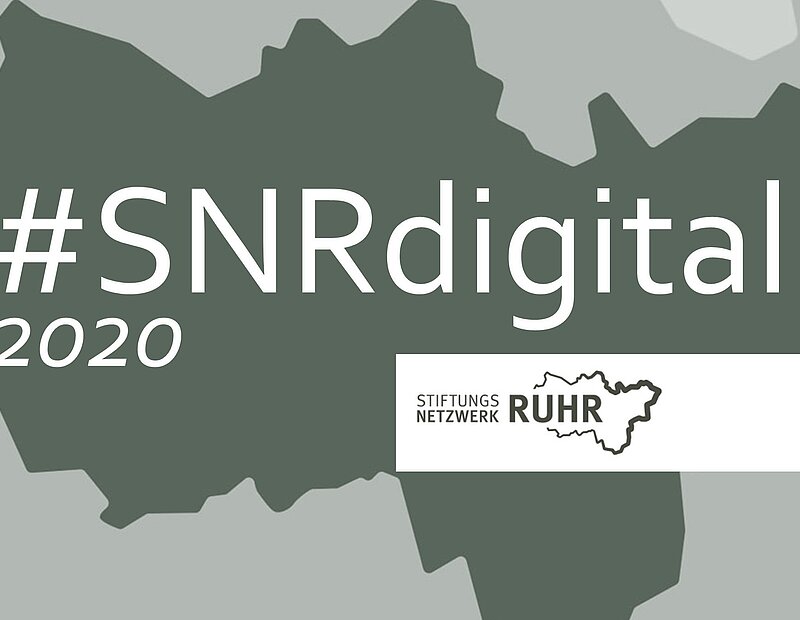 #SNRdigital 2020