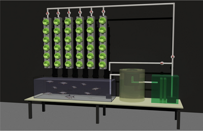 Aquaponik-Anlage für neues schul&shy;biologisches Zentrum